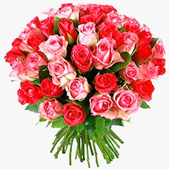 Red n Pink Beauty