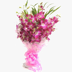 Lovely Orchids