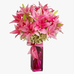 Cherished Beauty