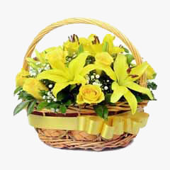 Magnificent Yellow