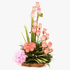 Pink Delight