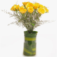 Bright & Cheerful