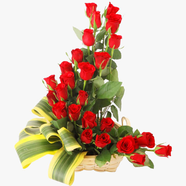 Marvelous Red Marvelous Red