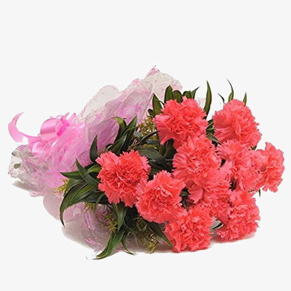 Dazzling Carnations Dazzling Carnations