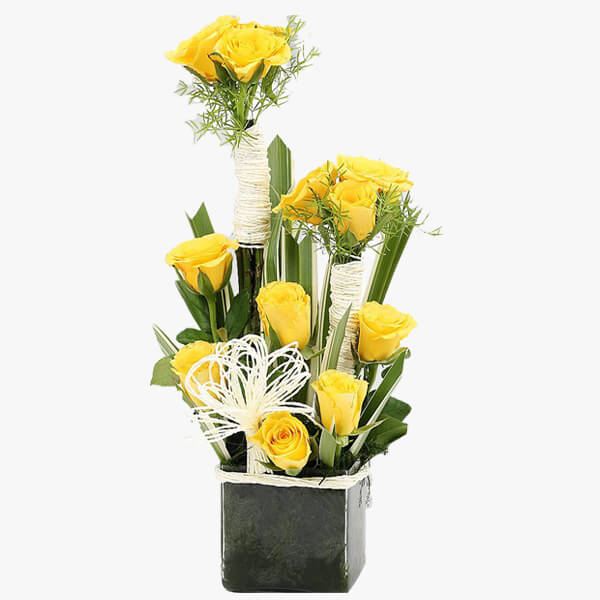 Gifting Yellow Gifting Yellow