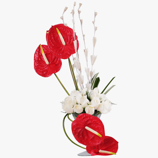 Roses n Anthuriums Roses n Anthuriums