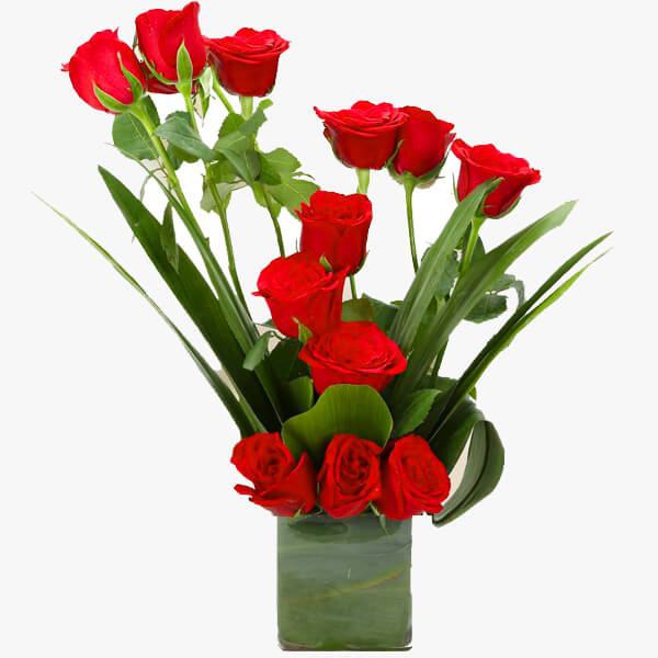 Celebrate Love Celebrate Love