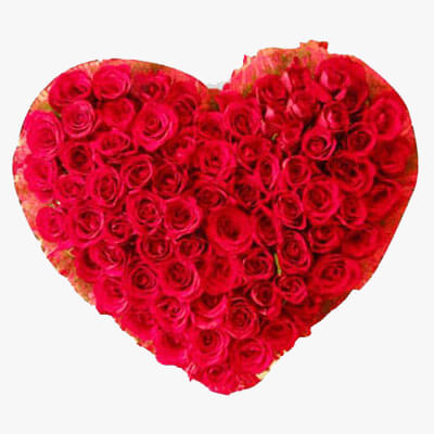 Lots of Love Lots of Love
