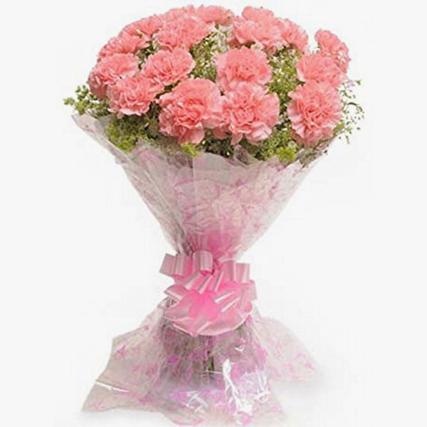 Cheerful Carnations Cheerful Carnations