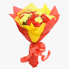 Pretty Carnations Pretty Carnations