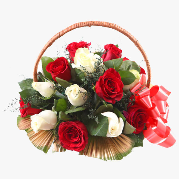 Red and white Emotions Red and white Emotions