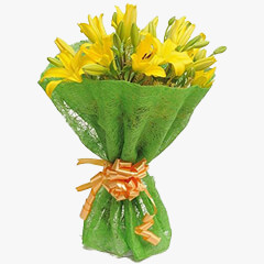 Charming Yellow Charming Yellow