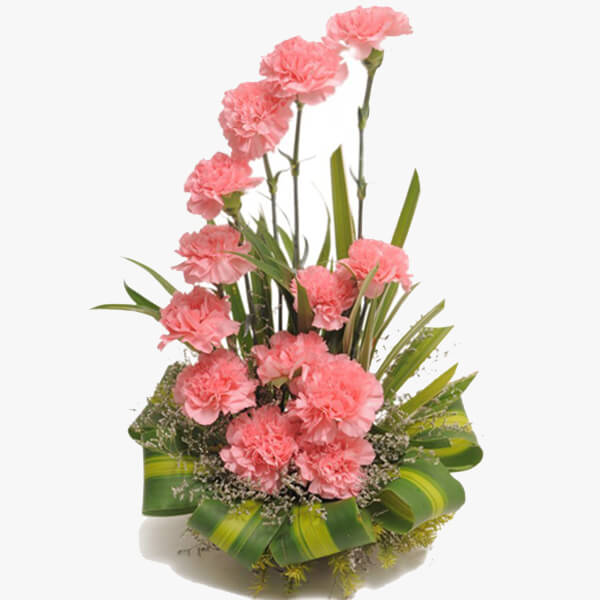Classy Carnations Classy Carnations